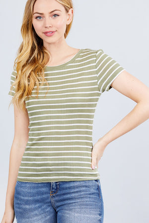 Short Sleeve Crew Neck Stripe Pointelle Knit Top