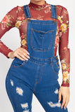 Distressed Denim Skinny Overalls