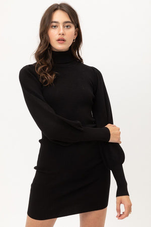 Turtle Neck Sweater Dress